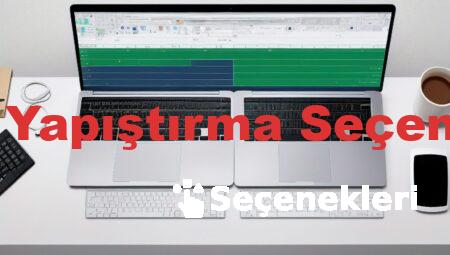 Excel Yapıştırma Seçenekleri