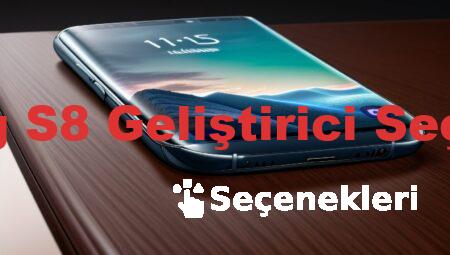 Samsung S8 Geliştirici Seçenekleri